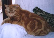 newburyermani.jpg (5383 bytes)