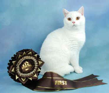 sup 05 004.jpg (12620 bytes)