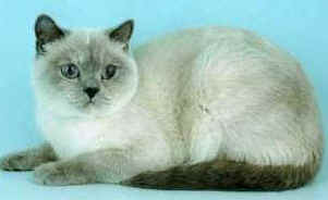 wardLarny.jpg (7384 bytes)