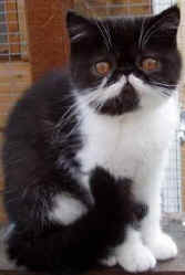 017phillips.jpg (11266 bytes)