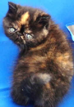 02-05 119.jpg (22961 bytes)