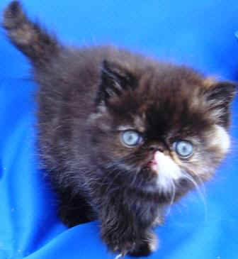 02-05 135.jpg (18579 bytes)