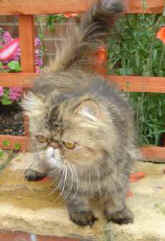 06-05 083.jpg (11098 bytes)