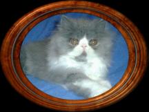 Khanatemissmoneypenny.jpg (7047 bytes)