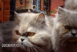 PICT0043.jpg (14594 bytes)