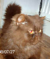 PICT0071.jpg (9172 bytes)