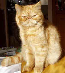 Teddyphillips.jpg (10180 bytes)