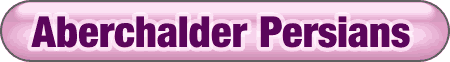 Aberchalder.gif (4454 bytes)