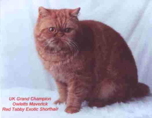 clark.jpg (8068 bytes)