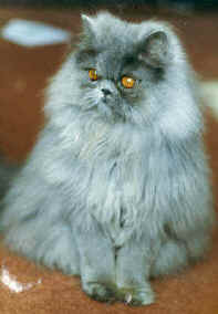 davey04.jpg (12856 bytes)