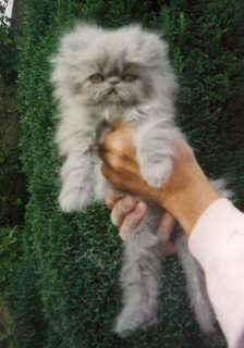 davey06.jpg (10572 bytes)