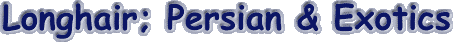 longhair.gif (4534 bytes)
