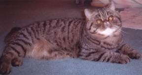 steve02.jpg (6572 bytes)