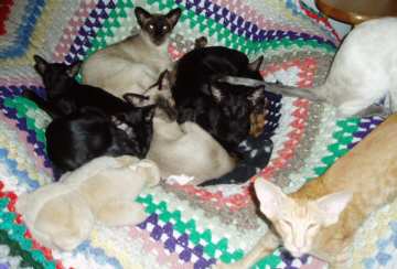 20--12--2004.jpg (15687 bytes)