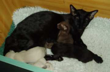 29  1  2005 002.jpg (8052 bytes)