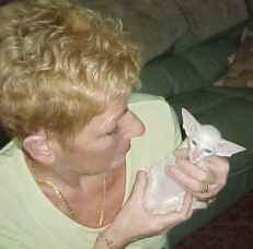 Bethanjo Kitten.jpg (5633 bytes)