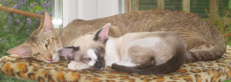 IMG_0012.jpg (27228 bytes)