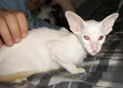 Julie & Daz 174.jpg (15767 bytes)