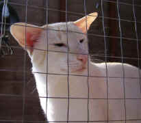 Julie & Daz 249.jpg (21192 bytes)