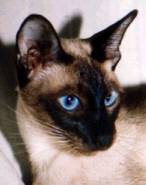 wally1.jpg (5595 bytes)