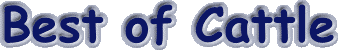 bestofcattle.gif (3939 bytes)