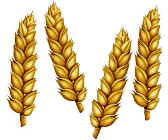 wpe4748.jpg (5632 bytes)