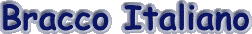 braccoitaliano.gif (2514 bytes)