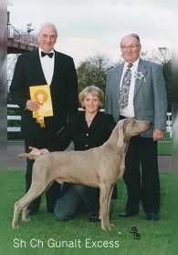 excess.jpg (12241 bytes)