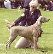 gunaltaffinity.jpg (19778 bytes)