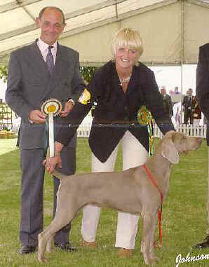 gunaltintuition.jpg (21632 bytes)