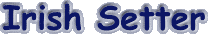 irset.gif (2142 bytes)