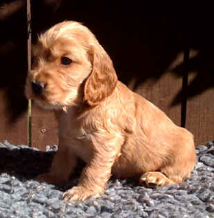 photo02.jpg (179325 bytes)