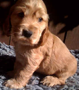 photo03.jpg (156954 bytes)