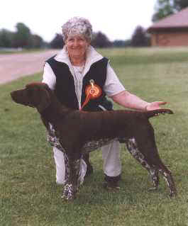 redalert.jpg (9359 bytes)