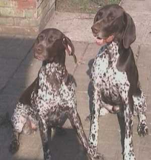 rigby1.jpg (12716 bytes)