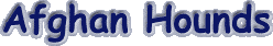 afghanhounds.gif (2605 bytes)