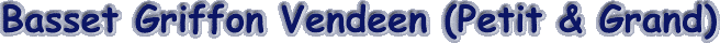 bassetgriffin.gif (6199 bytes)