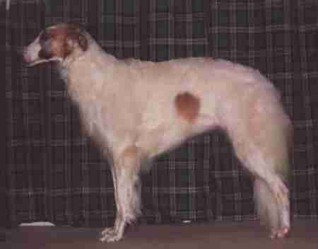 stevenssmith.jpg (14890 bytes)