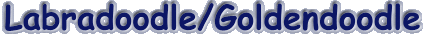 labradoodle.gif (7693 bytes)
