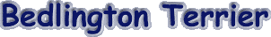 bedlington.gif (3053 bytes)