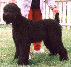 russian_s5.jpg (7672 bytes)