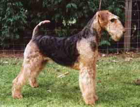 sallyfd.jpg (7875 bytes)