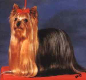 crowther3.jpg (5666 bytes)