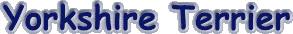 yorkter.gif (2887 bytes)