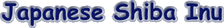 japaneseshibainu.gif (3213 bytes)