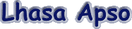 lhasaapso.gif (1958 bytes)
