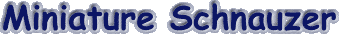 miniatureschnauzer.gif (3374 bytes)