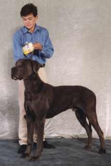 barton3.jpg (7160 bytes)