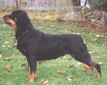 oddyssy.jpg (17004 bytes)